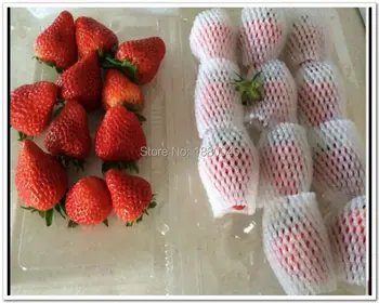 Paksenema Uus valge EPE Paks Muna Vaht maasika net silma varruka neto vaht puu-varruka net pakkematerjal Hulgi hind